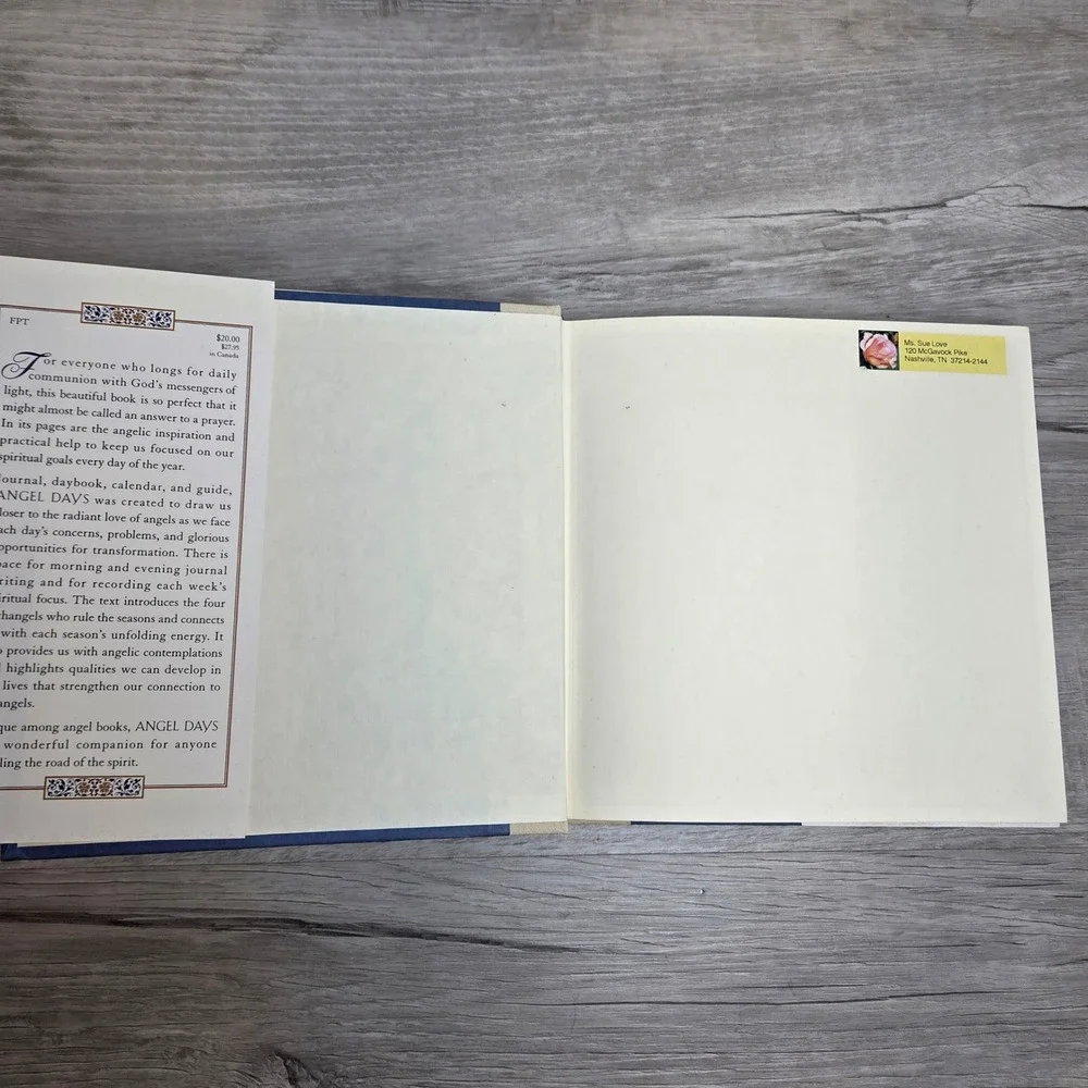 Angel Days A Journal and Daybook Terry Lynn Taylor 1st Ed 1995 Hardcover Angels